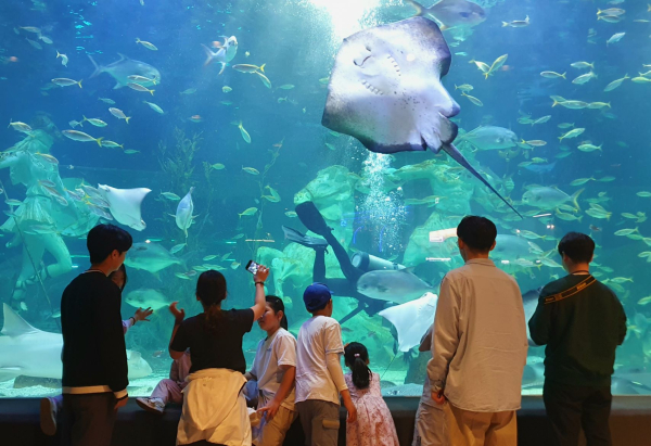 조폐공사 직원과 아이들이 아쿠아리움에서 바다생물을 관람하고 있다.