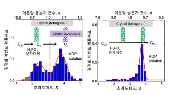 초과포화 환경에서 분자 구조 대칭성 변화에 따른 결정화 경로 분석 개략도