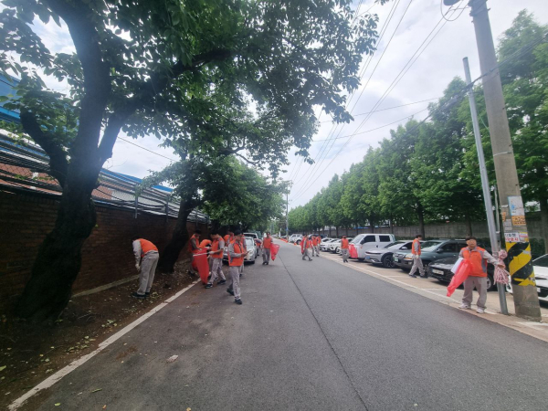 금강로하스길 환경정화 봉사활동 진행 모습
