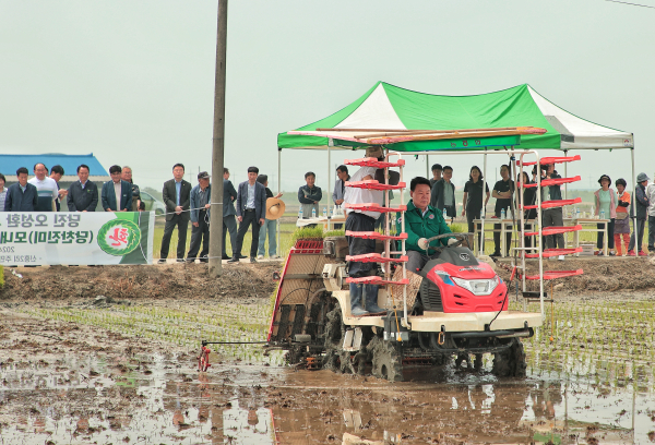 오성환 시장,  ‘당찬진미’ 모내기 현장 찾아 모내기 시연 모습