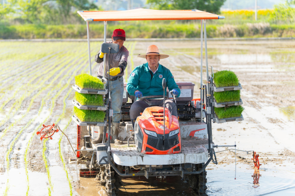 지난 21일  ‘공주시 적합용 벼 품종 비교전시포 모내기 행사’ 모습