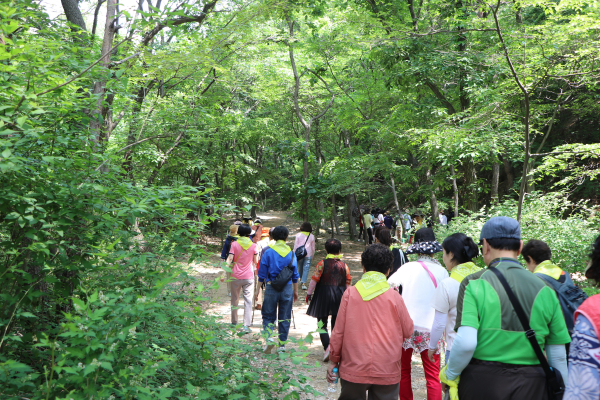 22일, 국립대전숲체원을 찾은 계룡시노인복지관 시니어들이 야외 숲 프로그램에 참여하고 있다.
