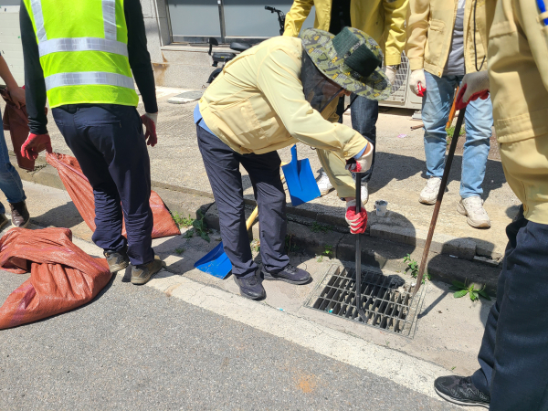 31일 침수 취약지역에서 진행된 빗물받이 일제 정비
