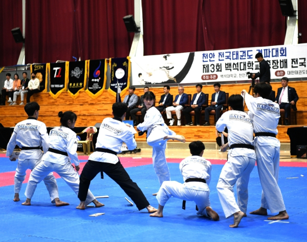 백석대 태권도시범단 학생들이 개회식 공연을 펼치고 있다./백석대 제공