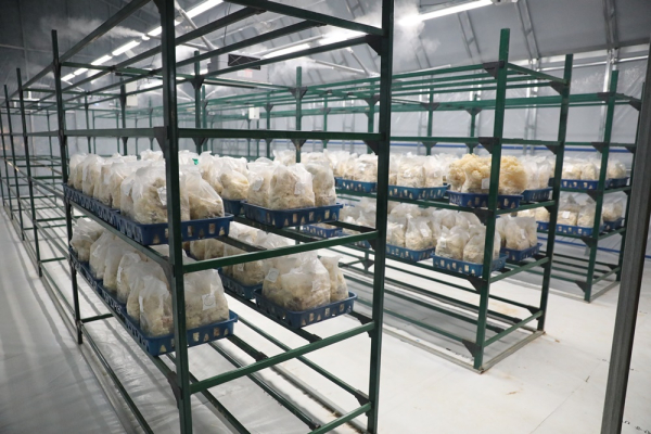 남서울대가 개소한 스마트팜학과 실습농장./남서울대 제공