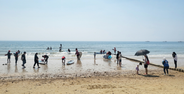 반려동물 해변운동회 (댕댕 패들보드)
