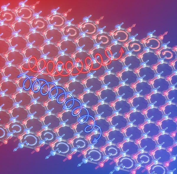 이번 연구를 통해 최초로 발견된 2차원 반강자성체의 마그논 오비탈 홀 효과와 그로 인한 마그논 오비탈 축적을 보여주는 모식도