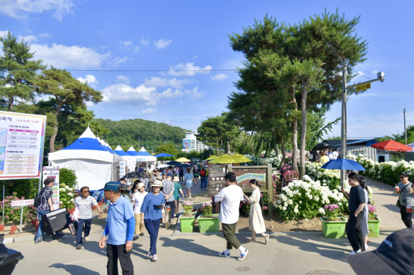 ‘제3회 공주 유구색동수국정원 꽃 축제’ 현장 모습 이모저모