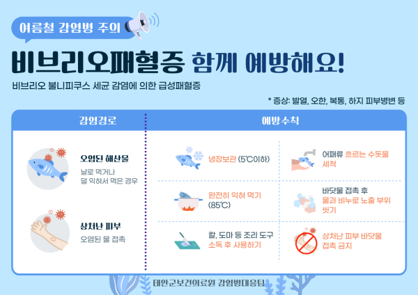 비브리오패혈증 예방 홍보물.