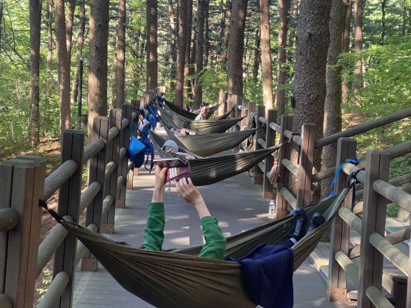 지난달 파독 근로자들이 경북 김천시 증산면 국립김천치유의숲 잣나무숲에서 해먹명상 프로그램에 참여하고 있다.