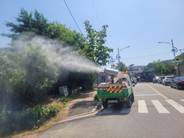 6월 서산시 가로수 및 공원에서 진행된 미국흰불나방 1차 방제