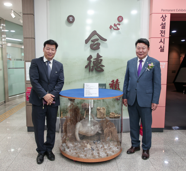 고니 기탁 사진