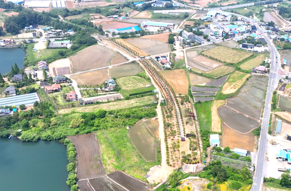 기후대응 도시숲 사진