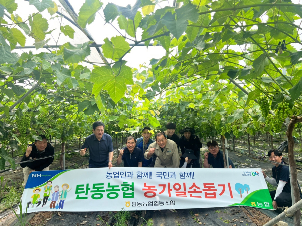 충남 당진 석문농협 직원들과 1박2일 농촌일손돕기 봉사