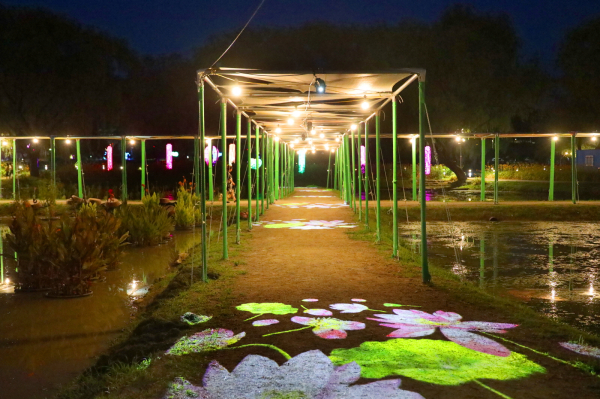 부여서동연꽃축제 점등식