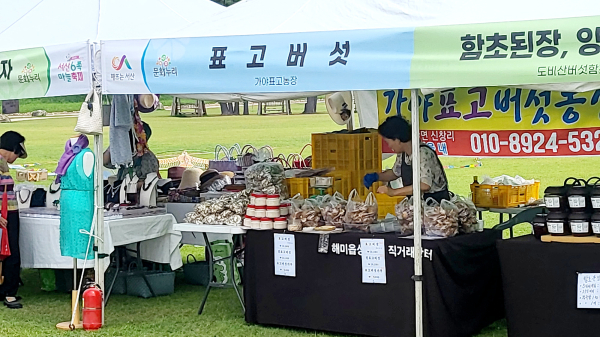 서산해미읍성 일원에서 지난 6월 28일부터 30일까지 개최된 제15회 서산6쪽마늘축제 현장 모습