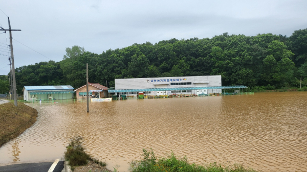 부여 임천면의 논이 침수된 모습
