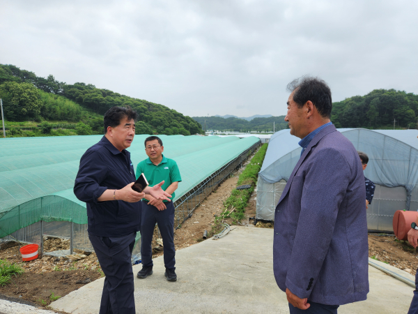 백남성 농협충남세종본부장(왼쪽)과 이정복 동서천농협조합장(오른쪽)이 서천군 마산면 집중호우로 피해를 입은 블루베리 농가를 찾아 복구 대책 마련에 대해 의견을 나누고 있다.