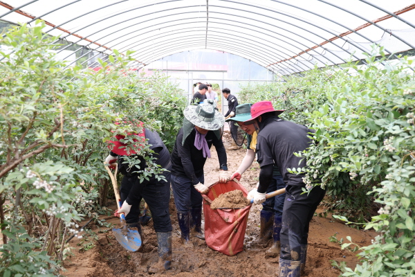 청양군  부여 수해복구 지원 현장 모습