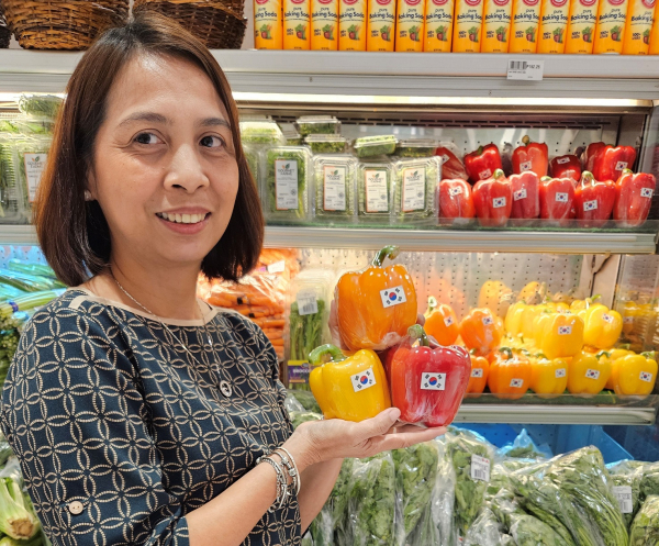 필리핀 대형유통매장 한국산 파프리카 홍보 행사