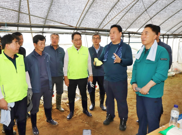 15일 충남 부여군 세도면에서 피해복구 일손돕기 진행 모습