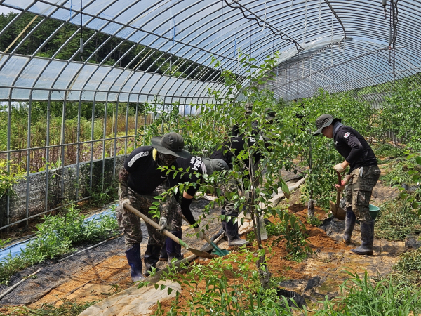 석성면 군 장병 일손돕기 모습