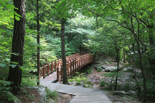 성주산자연휴양림 모습