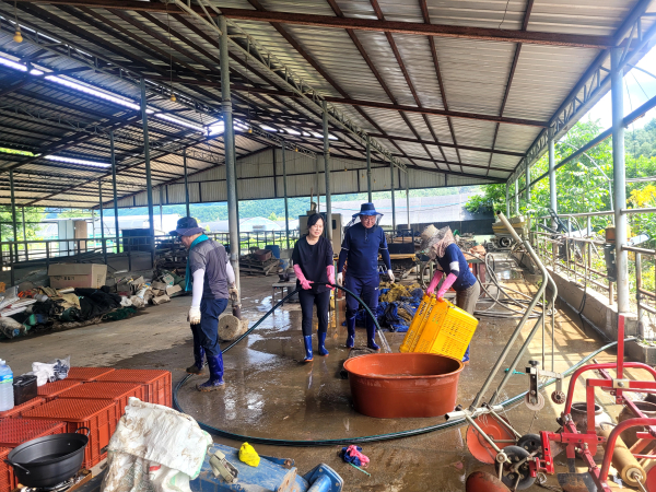 회덕농협, 수해피해 복구활동 진행 모습