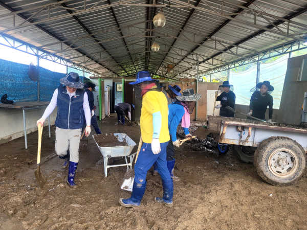 회덕농협, 수해피해 복구활동 진행 모습