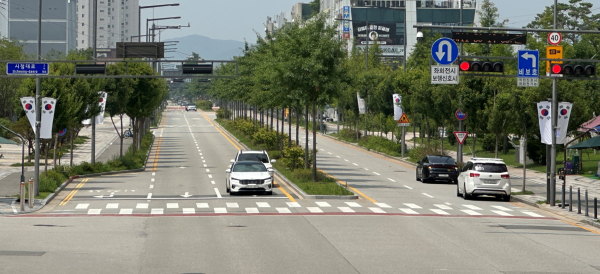 세종시청대로 태극기 게양