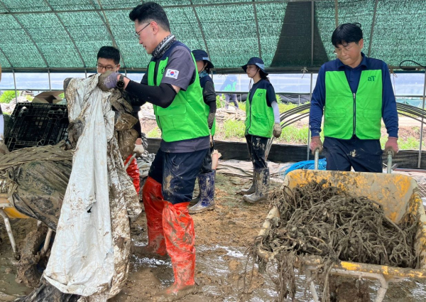 전북 익산 집중호우 피해 농가 일손 돕기 현장 모습