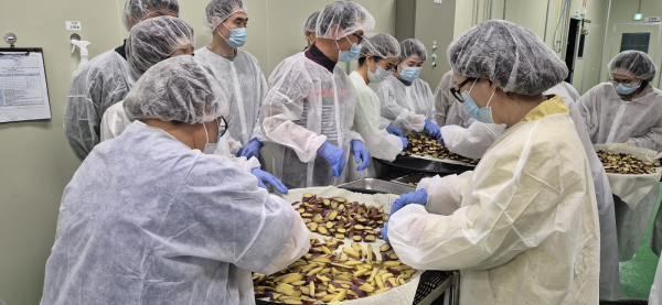 청년 창업 지원 사진