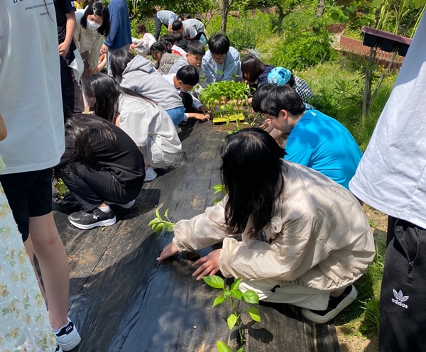 산흥초 해피랜드 텃밭