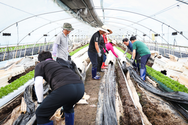 논산시 광석면 산동리를 찾아 수해복구 봉사활동 진행 모습