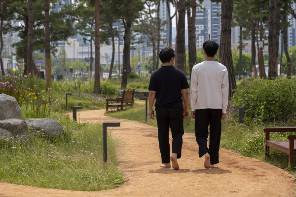 중앙공원 솔숲맨발길