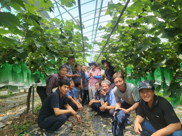 포도 재배농가를 대상으로 현장 컨설팅 진행