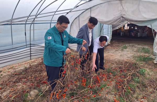 집중호우 피해입은 전북 익산 농가 찾은 김춘진 사장  * 한국농수산식품유통공사 김춘진 사장(좌측 1번째)