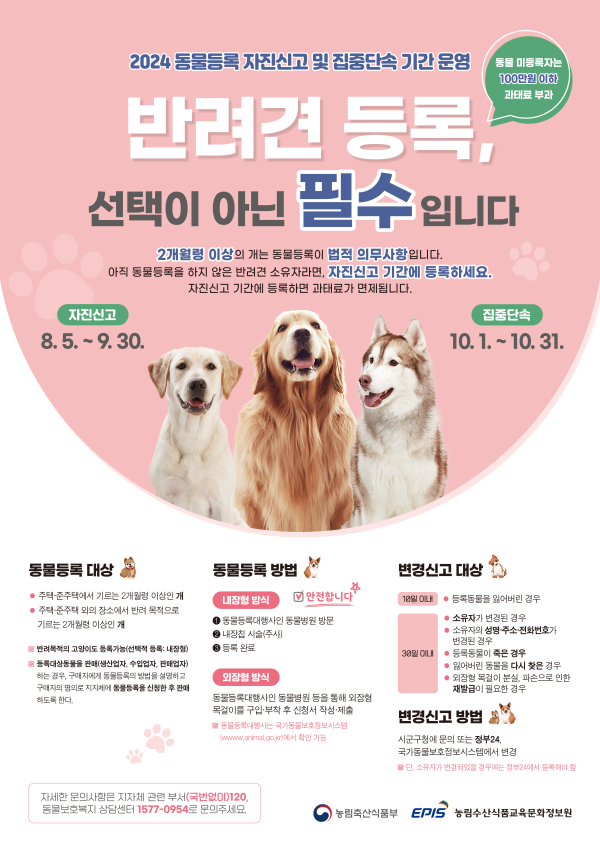 반려견 등록 홍보물