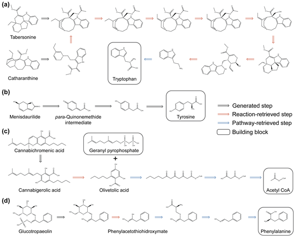 리드레트로(READRetro)를 활용해 예측한 천연물 생합성 경로