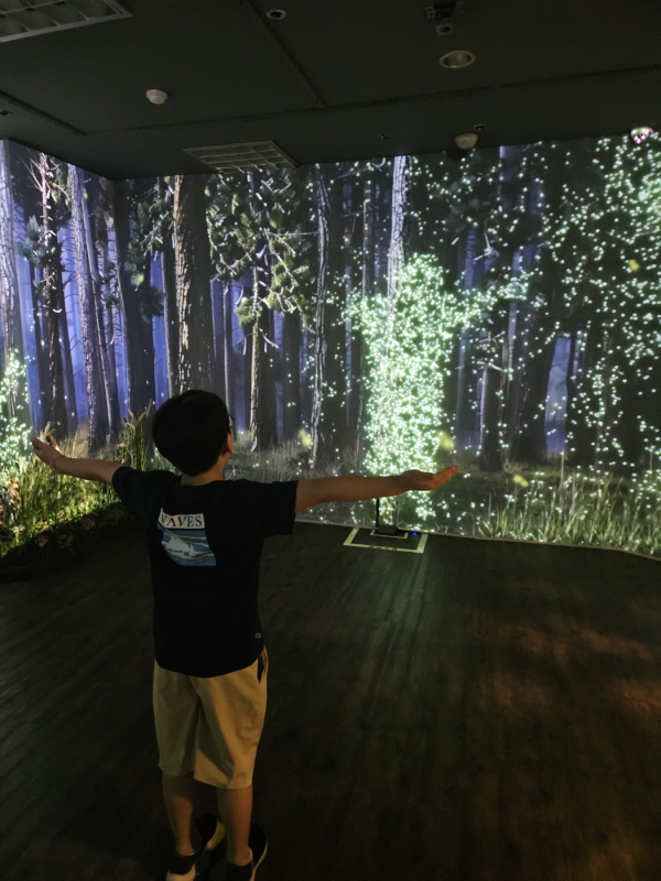 미디어아트 반딧불 모습