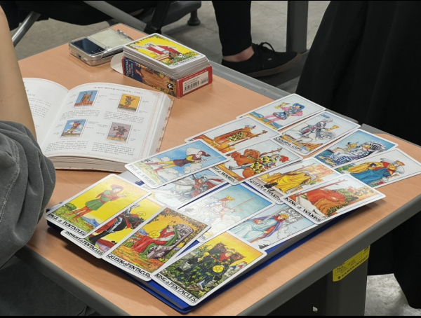 타로카드 수업 모습