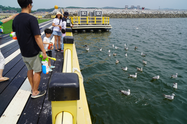‘궁리항 놀궁리 해상파크’ 개장기념 주민 화합잔치