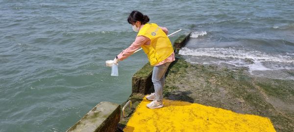 5월 벌천포항에서 진행된 비브리오패혈증 유행예측조사 검체 채취