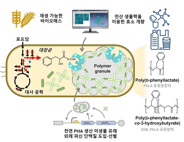 방향족 폴리에스터 생산 미생물 개발 전략