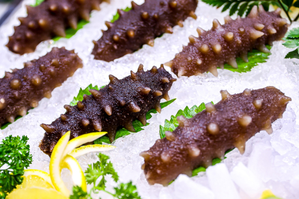 중국인 선호도가 가장 높은 한국산 해삼 전시