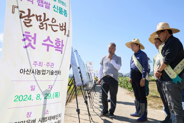 신품종 달맑은벼 수확 현장에 참석한 박경귀 시장