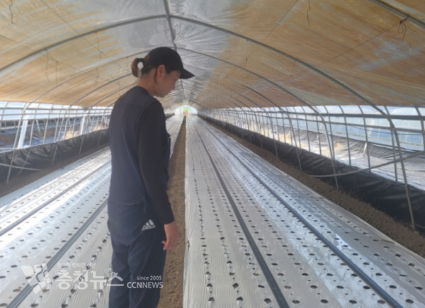 주변의 도움으로 복구된 순지연 씨의 하우스.