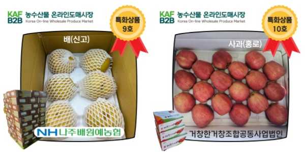 농수산물 온라인도매시장 9호 특화상품 ‘나주 배’, 10호 특화상품 ‘거창 사과’