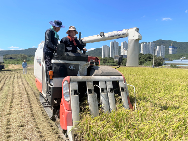 한국새농민 대전광역시회 상생·협력농장 벼수확 행사 모습