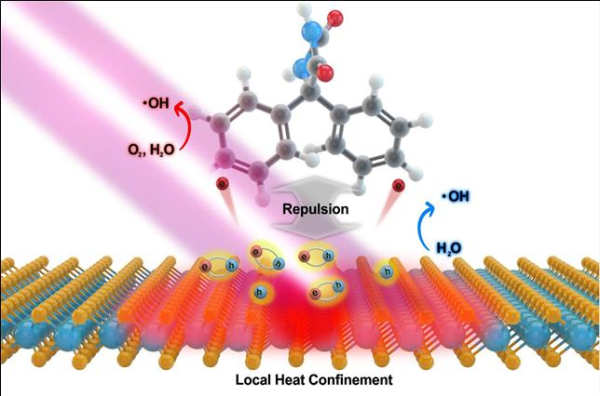 KRISS가 개발한 나노물질 기반 항경련제 농도 진단 기술 모식도